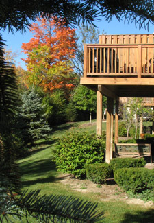 Rear of units with Fall color tree