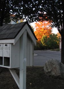 mailbox & fall color tree view